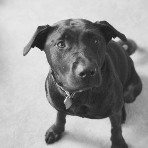 Meet your Posher, Shanti